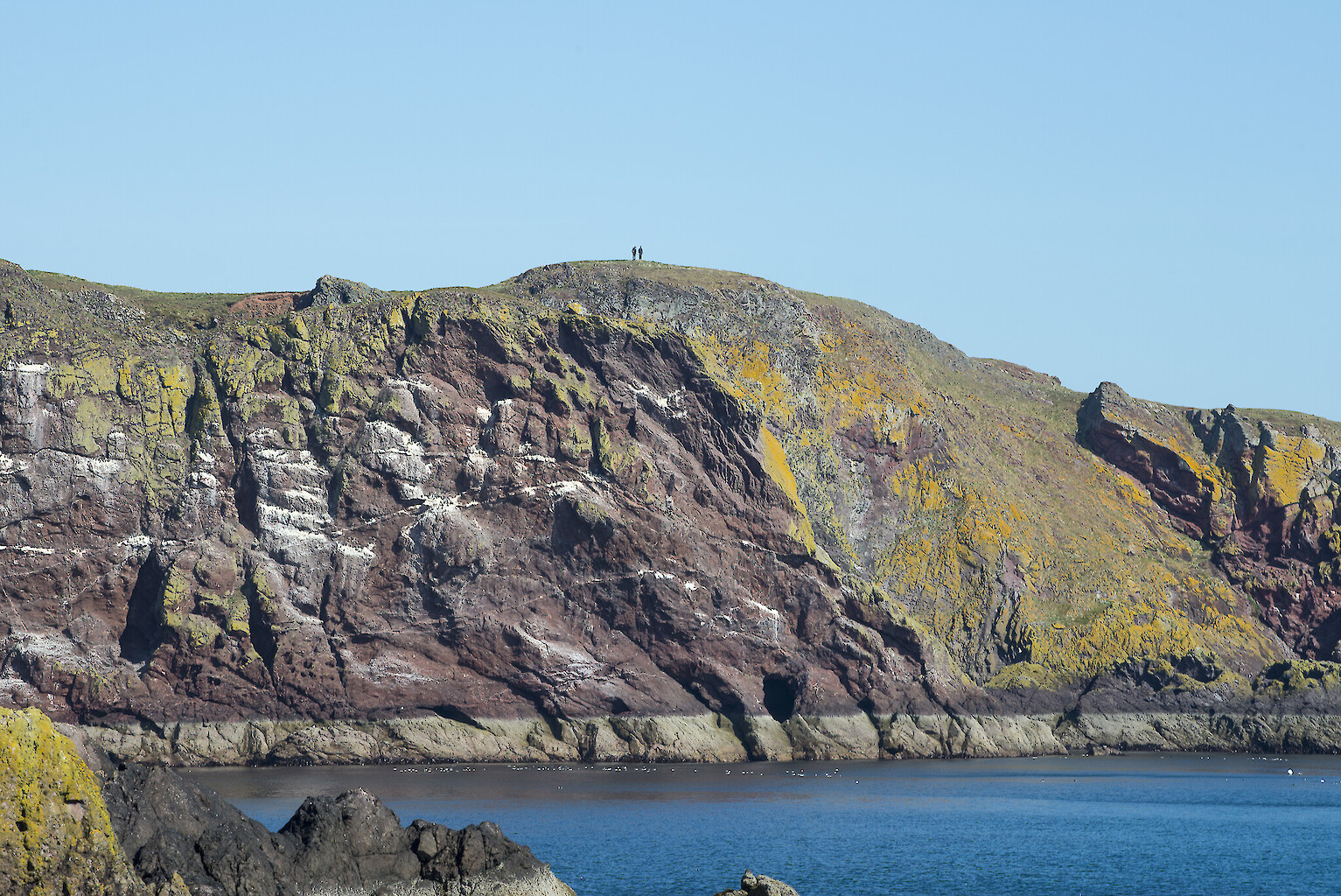 St Abbs Head, Credit- VisitScotland