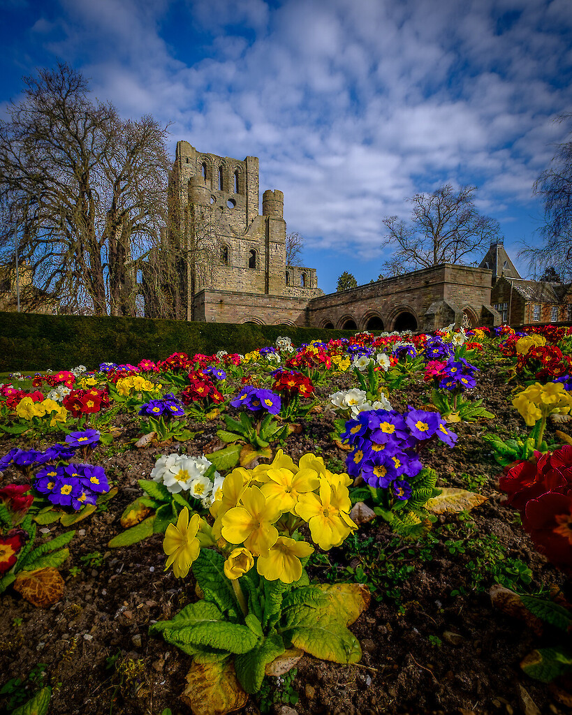 Kelso Abbey, Credit VisitScotland
