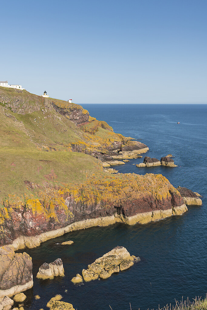 St Abbs Head - Credit - VisitScotland
